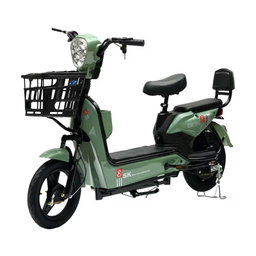 Stylish 14 Inch Tire Urban Leisure Adults City Bike High Speed 50km h Electric Bicycle 500W 800W 48V60V 15ah Battery Wholesale