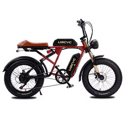72v 8000w Fat Tire Electric Bike Electric 24inch Sworks Road E-mountain Bike