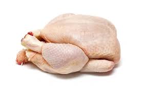 100 Poulets pondeuses _0