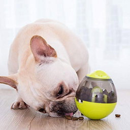 Pelota Dispensador Comida Snack Mascotas