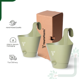Railing Hook,Self-Watering Pot-Pack of 2 | Olive 