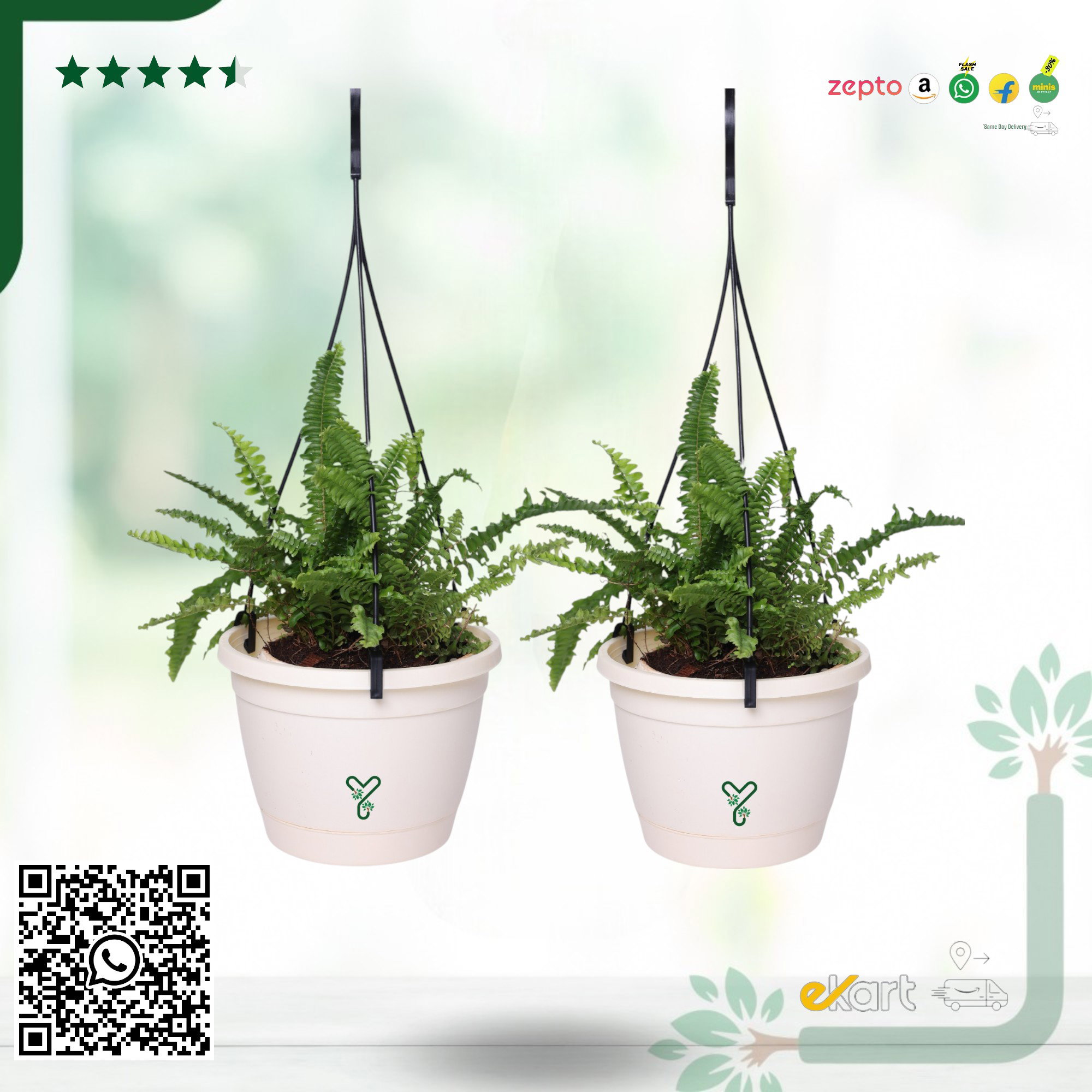 Hanging Self Watering Pot, 8inch, Vertical Hook & 12.5'' Chain | Pack of 2 | Ivory