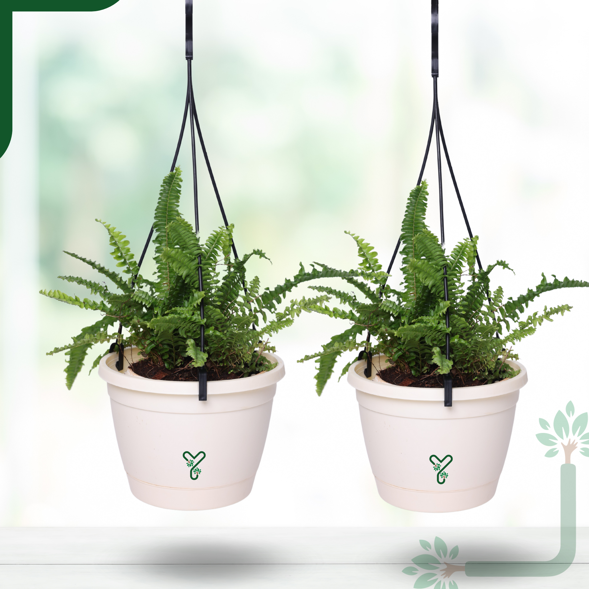 Hanging Self Watering Pot, 8inch, Vertical Hook & 12.5'' Chain | Pack of 2 | Ivory_2