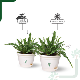 Hanging Self Watering Pot, 8inch, Vertical Hook & 12.5'' Chain | Pack of 2 | Ivory