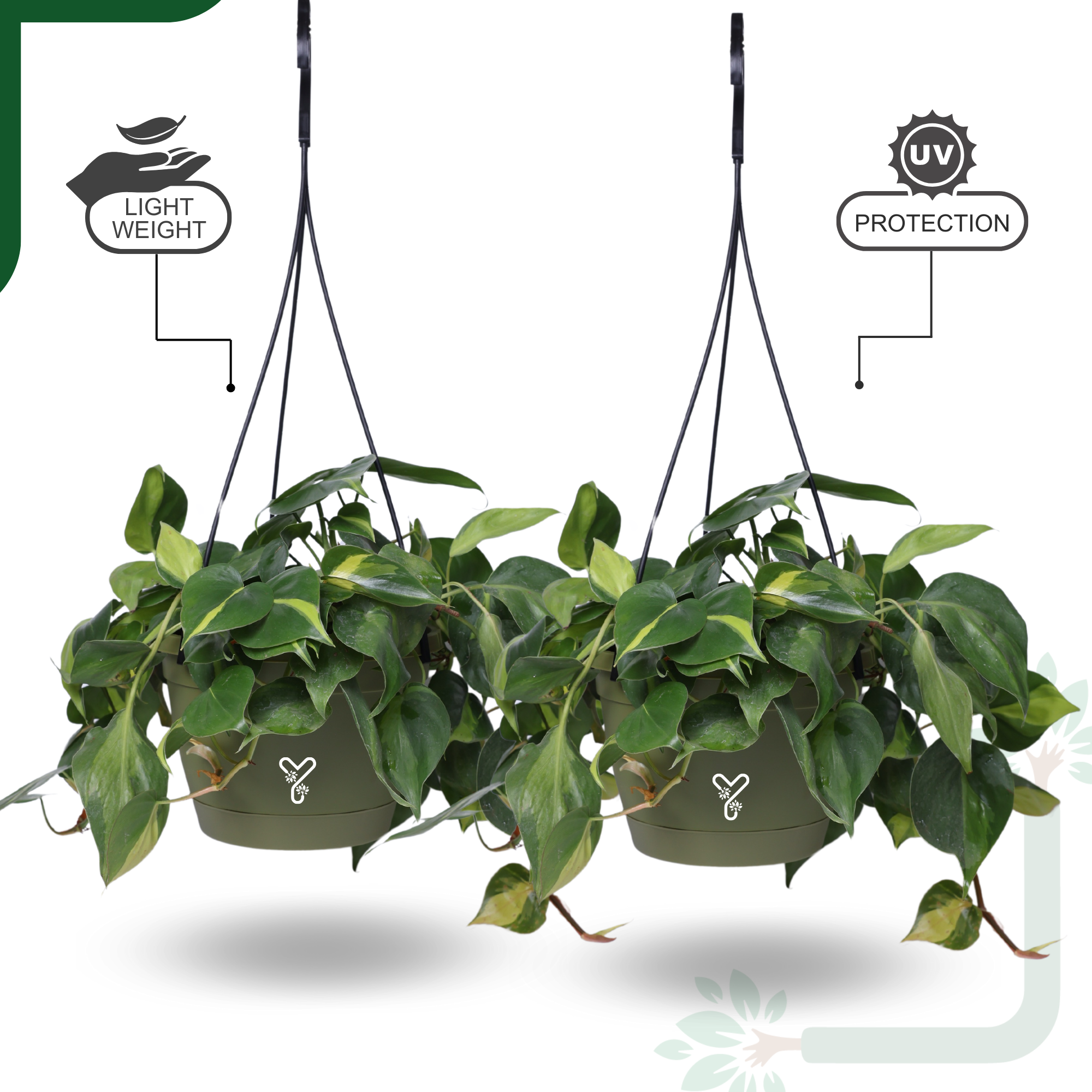 Hanging Self Watering Pot, 8inch, Vertical Hook & 12.5'' Chain | Pack of 2 | Olive _2