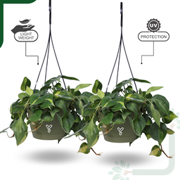 Hanging Self Watering Pot, 8inch, Vertical Hook & 12.5'' Chain | Pack of 2 | Olive 