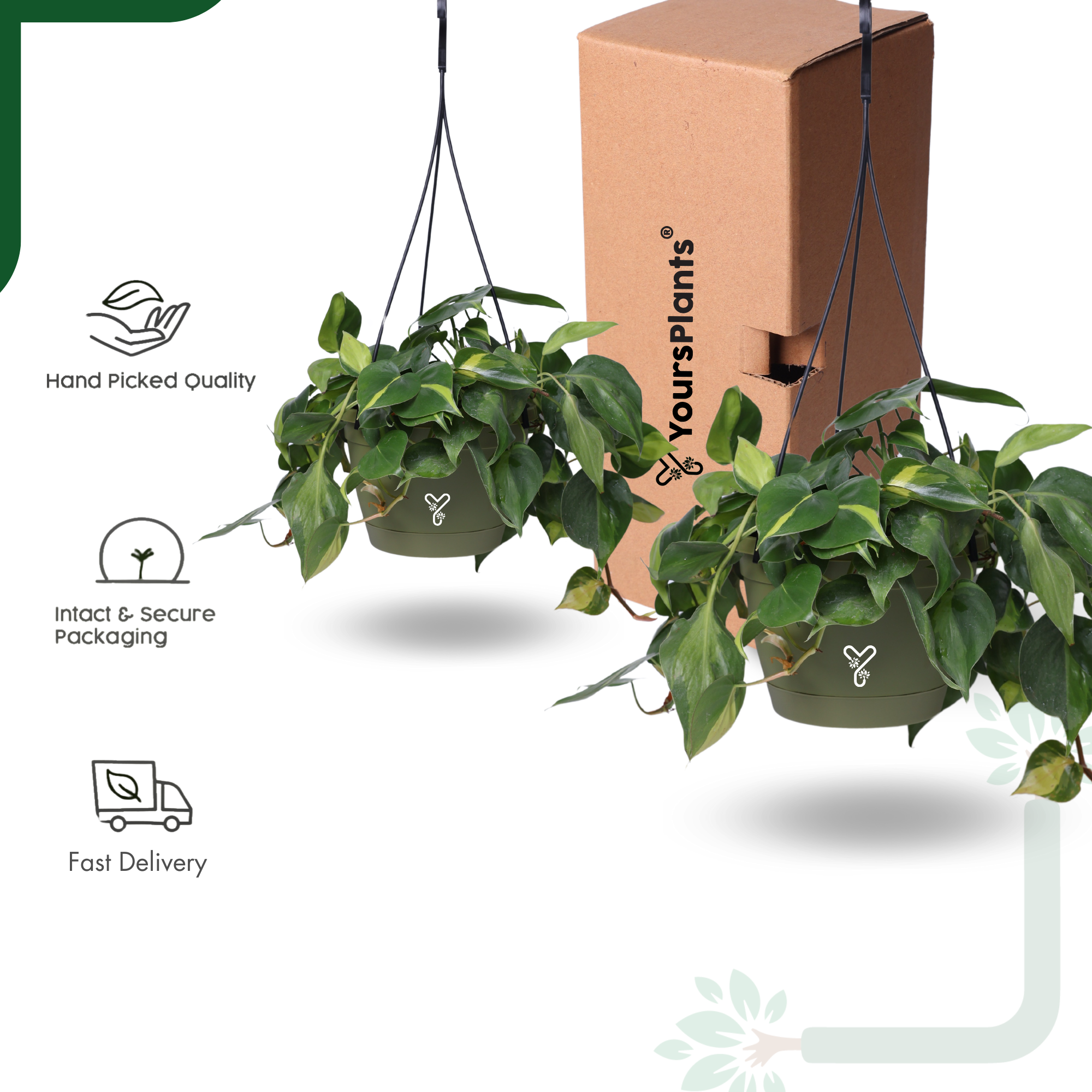 Hanging Self Watering Pot, 8inch, Vertical Hook & 12.5'' Chain | Pack of 2 | Olive _5