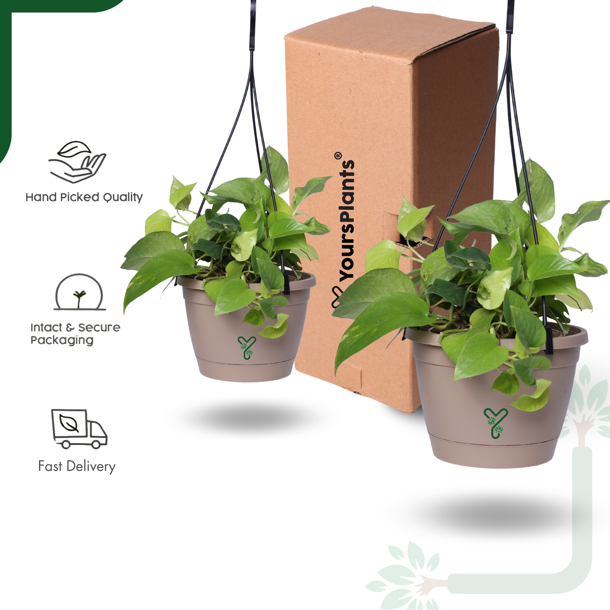 Hanging Self Watering Pot, 8inch, Vertical Hook & 12.5'' Chain | Pack of 2 | Rock Brown _5