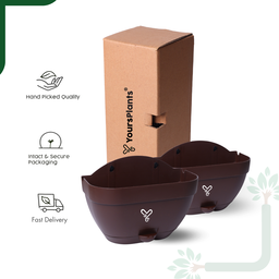 Vertical Garden Wall Mounted Self Watering Pot with Hook | Pack of 2 | Coffee