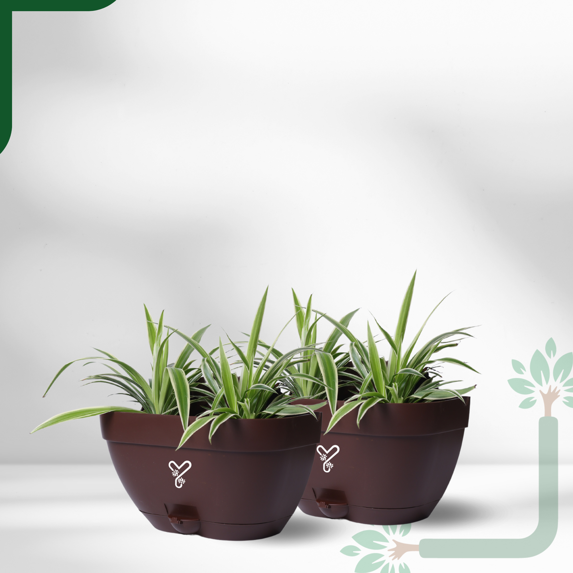 Vertical Garden Wall Mounted Self Watering Pot with Hook | Pack of 2 | Coffee_4