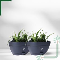 Vertical Garden Wall Mounted Self Watering Pot with Hook | Pack of 2 | Grey