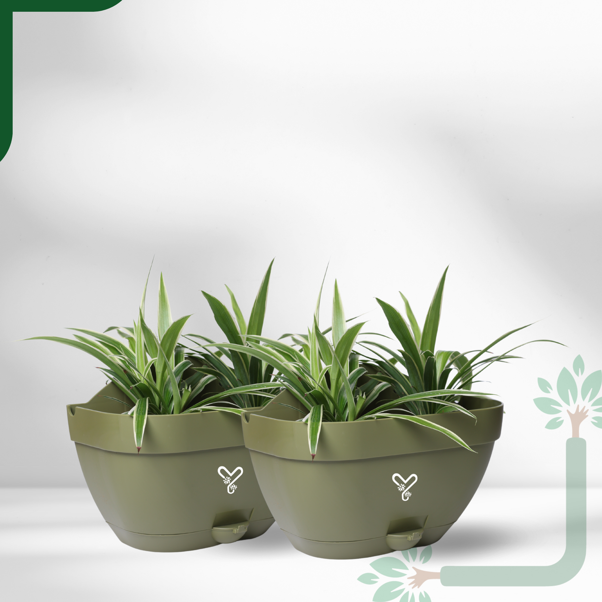 Olive Vertical Garden Wall Mounted Self Watering Pot with Hook | Pack of 2_5