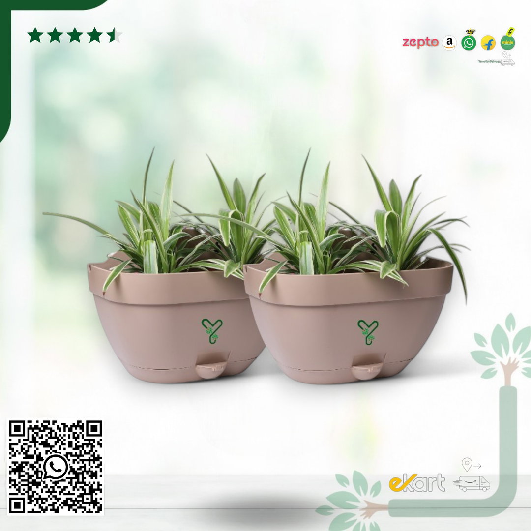 Vertical Garden Wall Mounted Self Watering Pot with Hook | Pack of 2 | Rock Brown