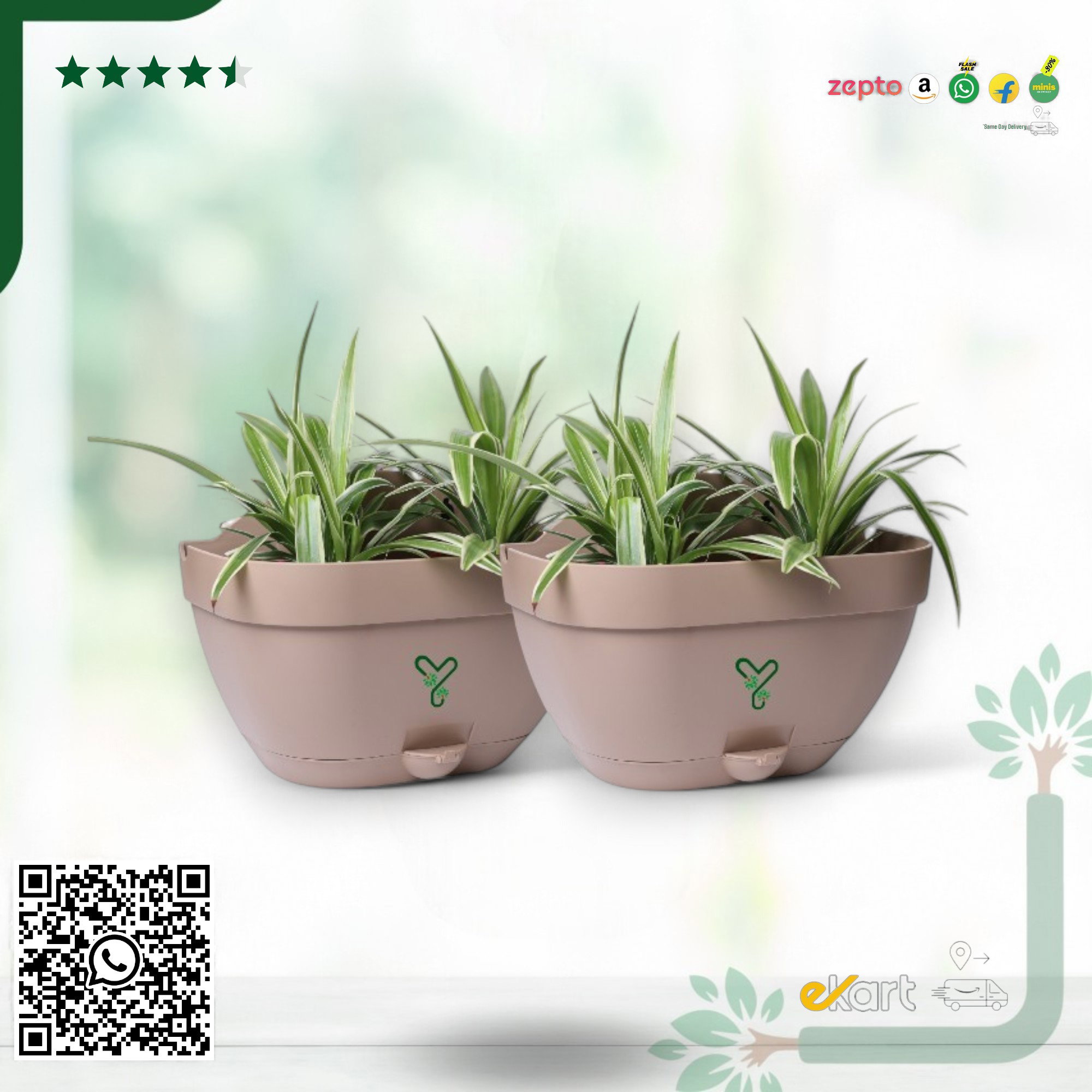 Vertical Garden Wall Mounted Self Watering Pot with Hook | Pack of 2 | Rock Brown _0