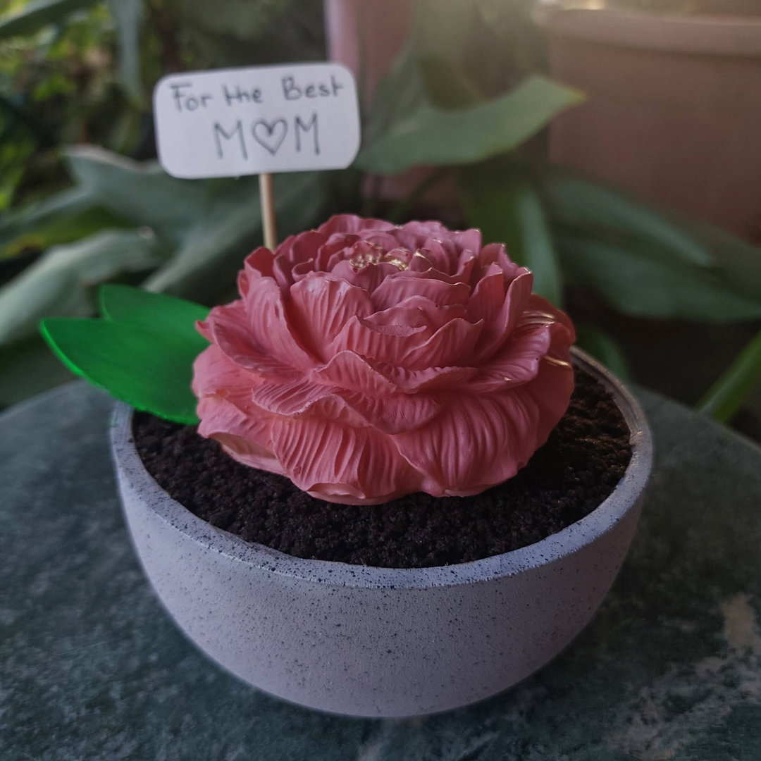 Chocolate creations