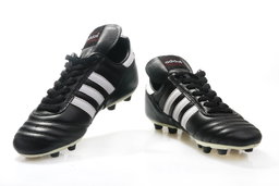 Adidas Copa Mundial FG