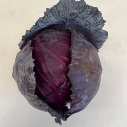 Baby purple cabbage - organic