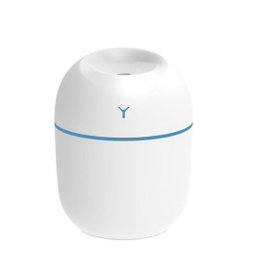 Humidifier 