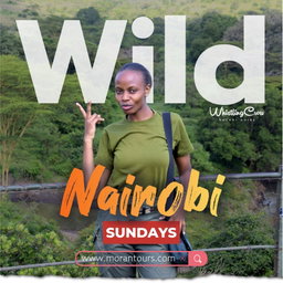 Nairobi National Park and Giraffe Centre