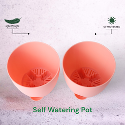 Peach Aqua Self Watering | 5 & 7inch Pot | Pack of 2