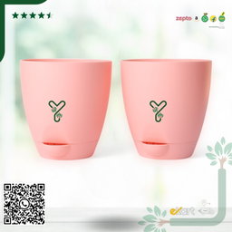 Peach Aqua Self Watering | 5 & 7inch Pot | Pack of 2