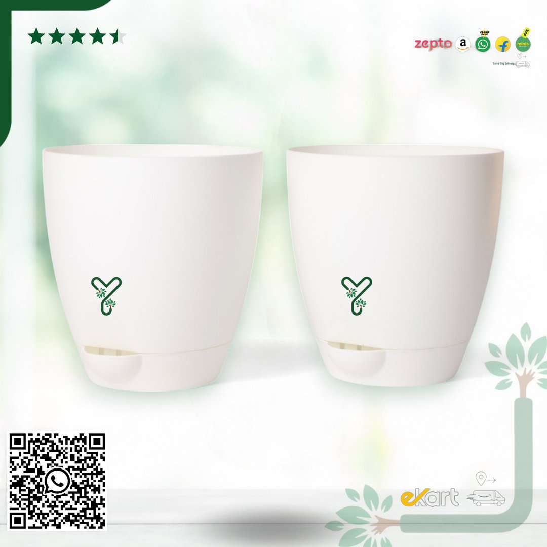 Aqua Self Watering | 5 & 7inch Pot | Pack of 2 | White