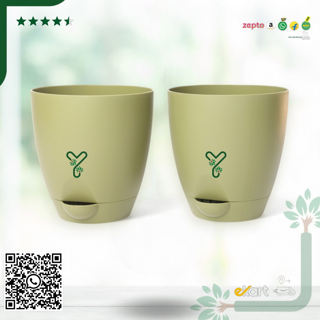 Aqua Self Watering | 5 & 7inch Pot | Pack of 2 | Olive