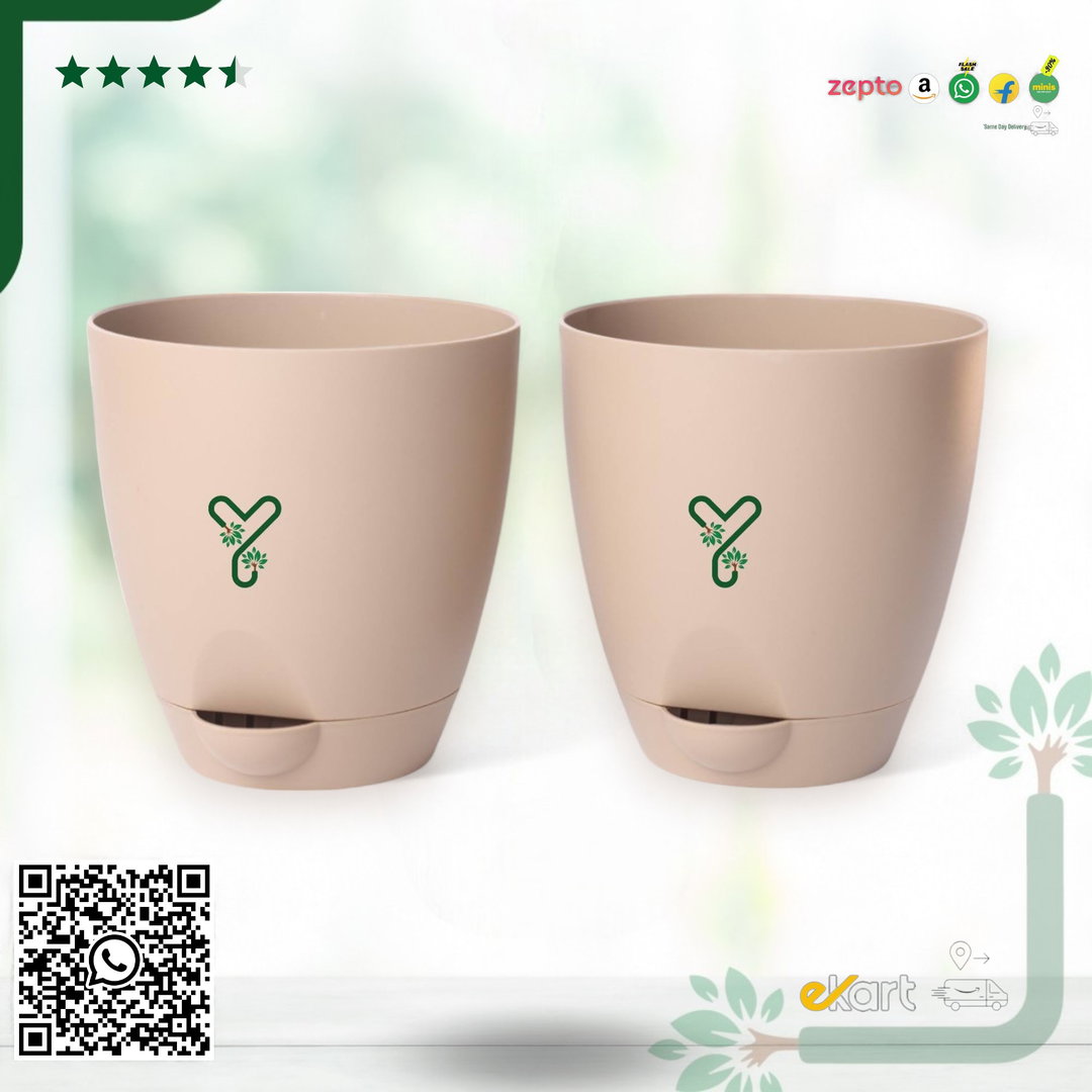 Aqua Self Watering | 5 & 7inch Pot | Pack of 2 | Rock Brown