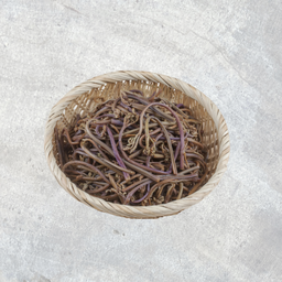 Korean Gosari (Blanched Bracken) 韓国ゼンマイ 고사리