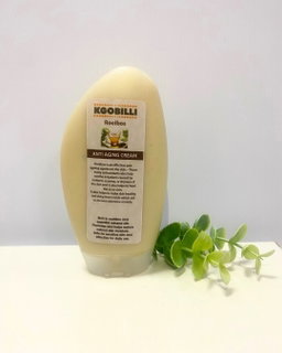 Anti Aging Cream