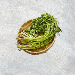 Korea Minari (water parsley) 200g セリ 미나리