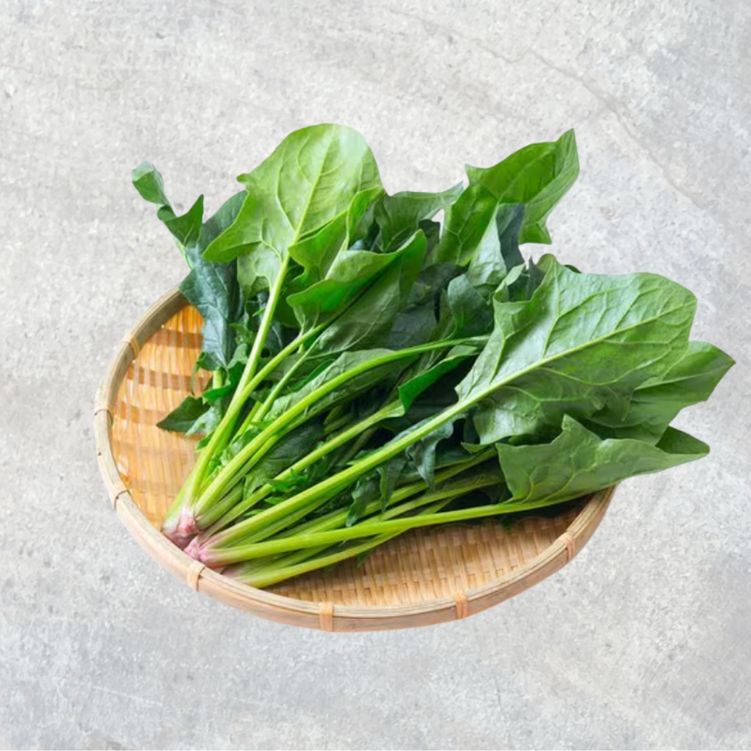 Korean Spinach ほうれん草 시금치(포항초)