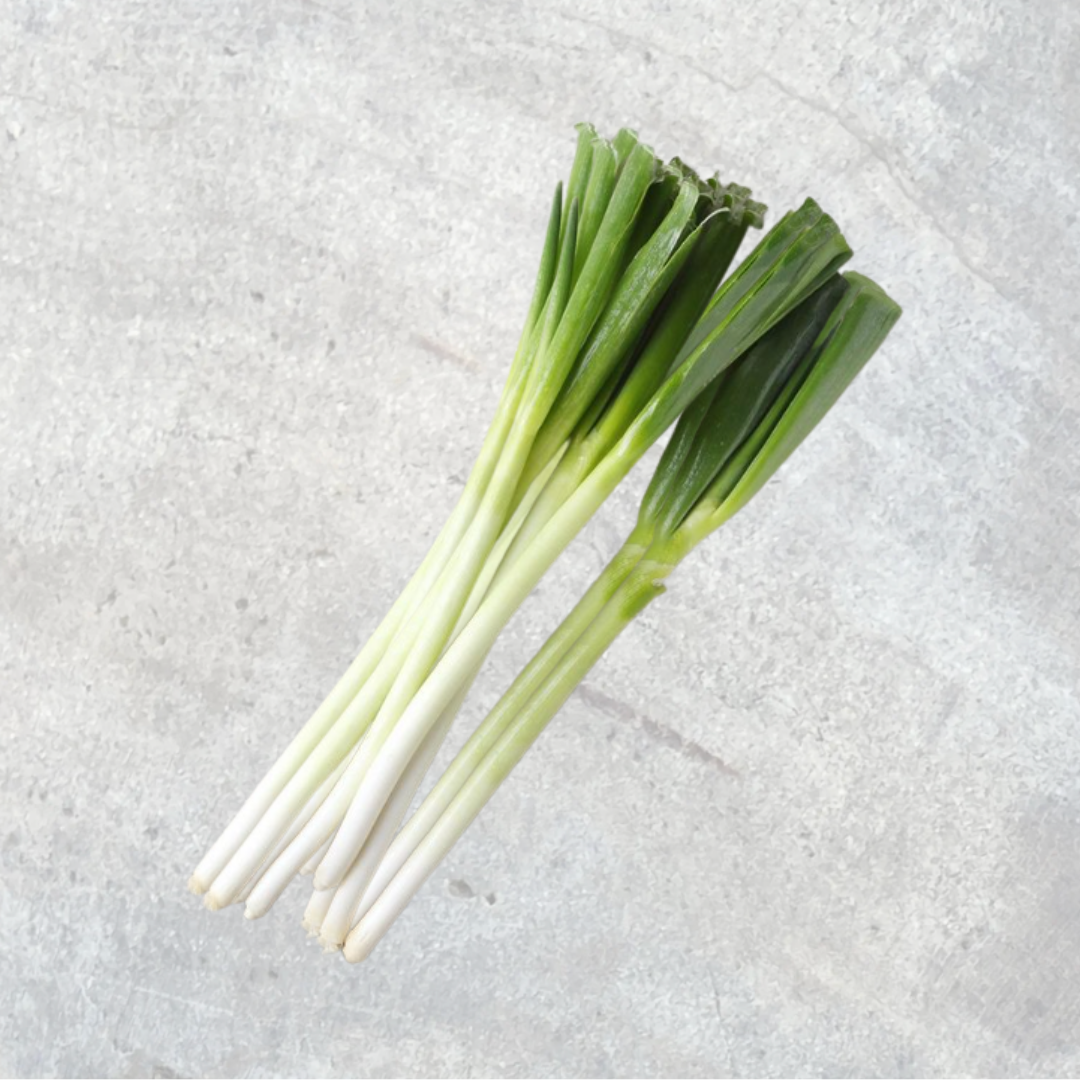 Korean Leek 350g ネギ 대파