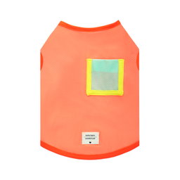 Ohpopdog Tangerine Fizz Cooling Basics Raglan