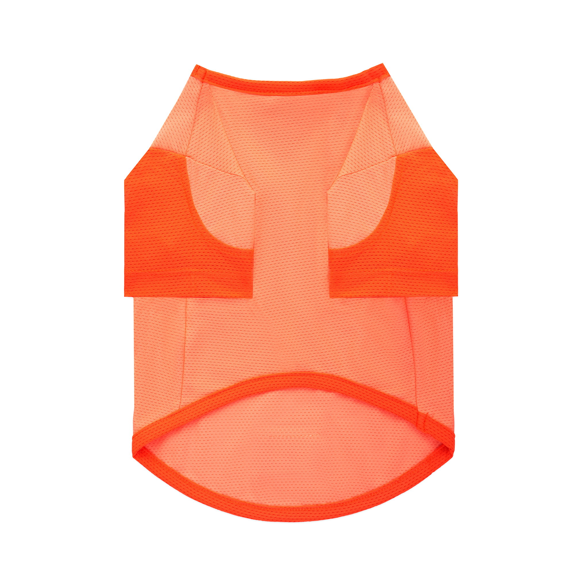 Ohpopdog Tangerine Fizz Cooling Basics Raglan_1