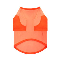 Ohpopdog Tangerine Fizz Cooling Basics Raglan
