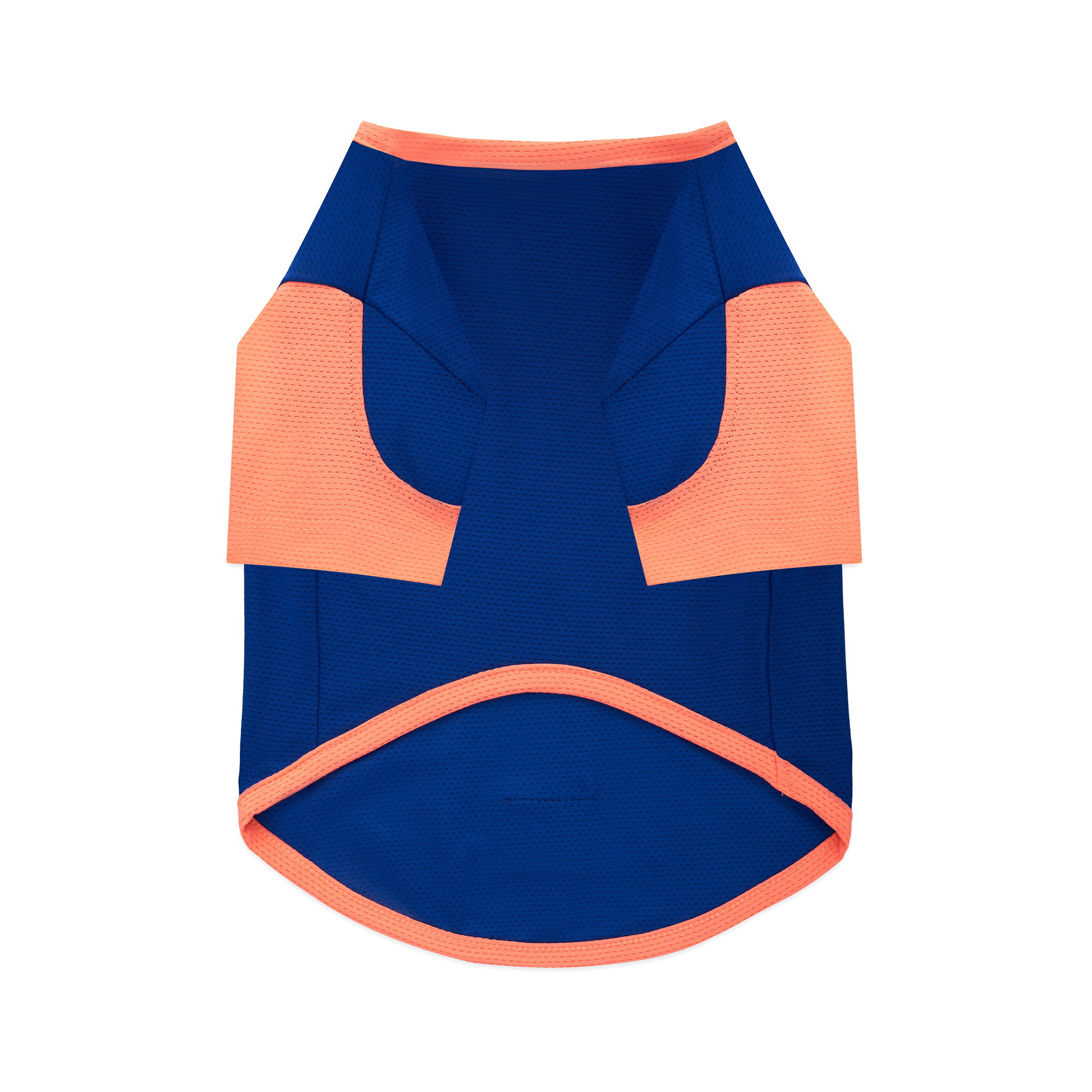 Ohpopdog Blueberry Soda Cooling Basics Raglan_1