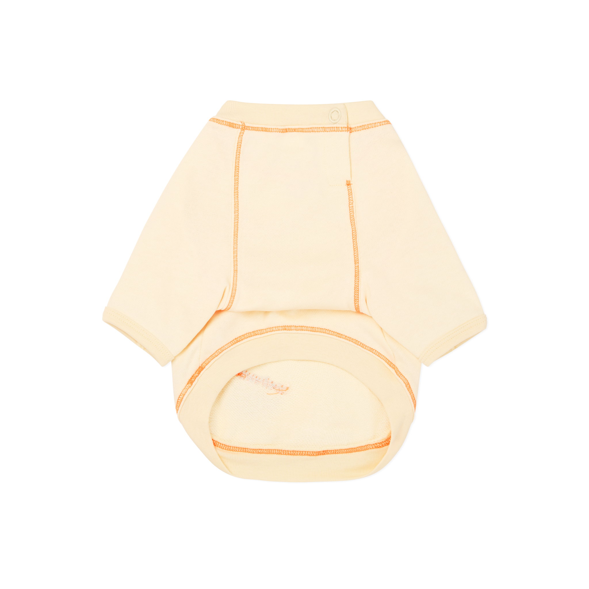 Ohpopdog Perfect Raglan_1