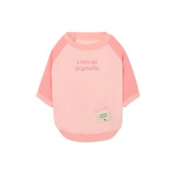 Ohpopdog Dramatic Raglan