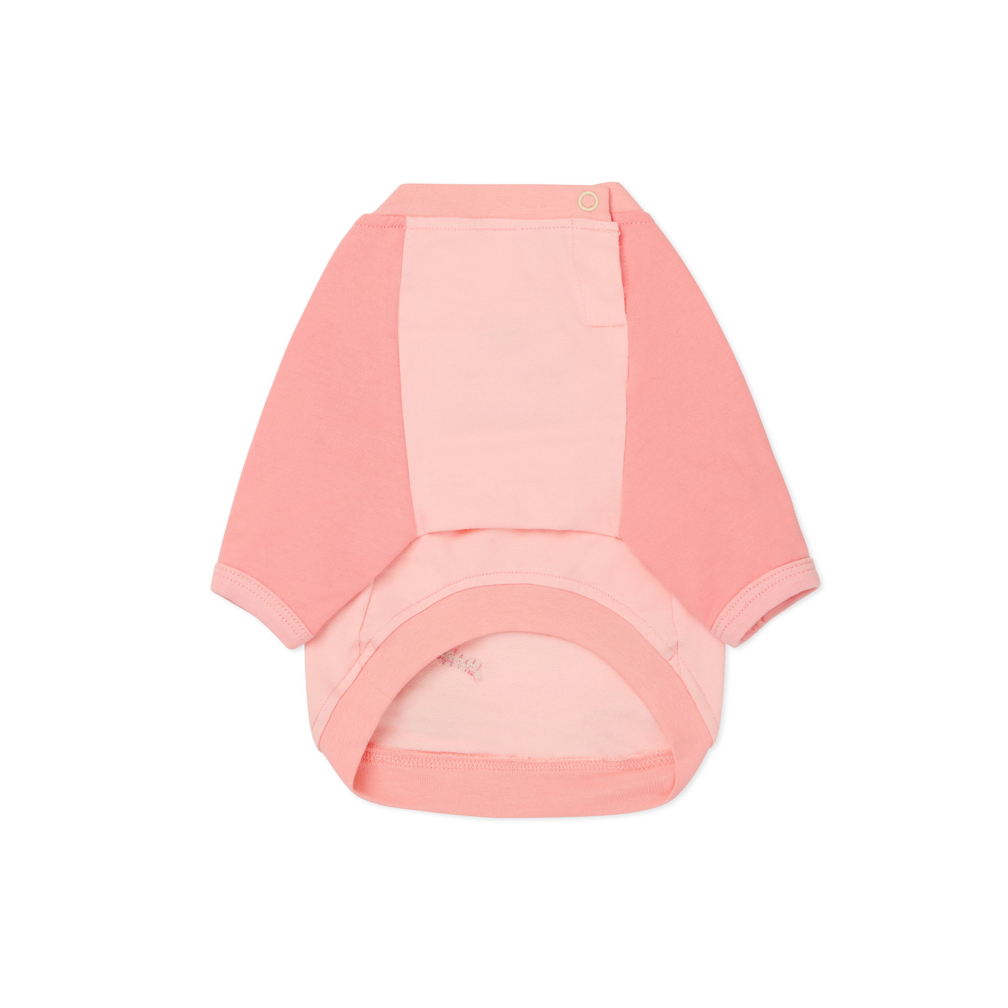 Ohpopdog Dramatic Raglan_1