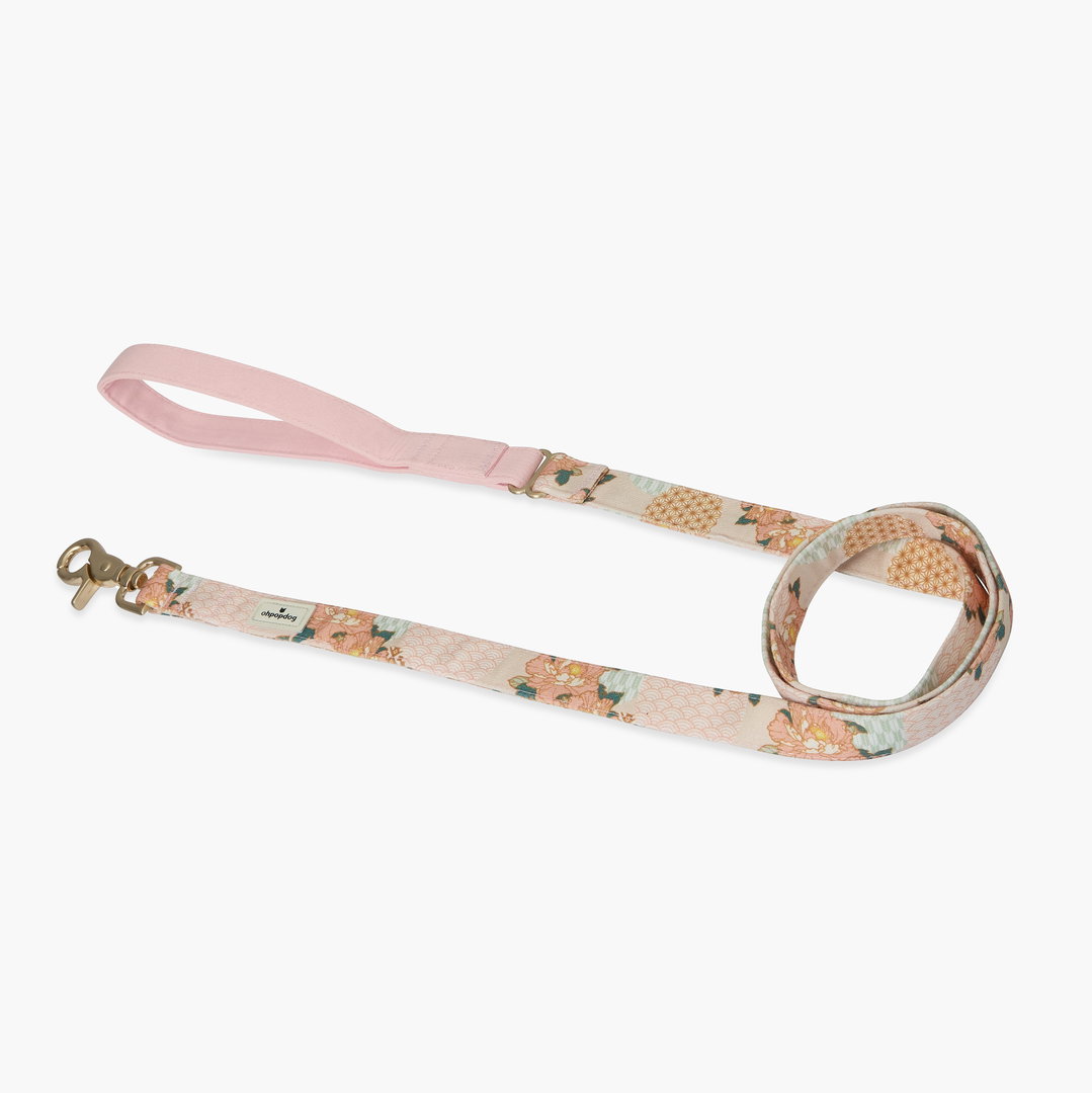 Ohpopdog Botan Cotton Leash