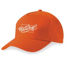 5 Panel Cap-Bottle