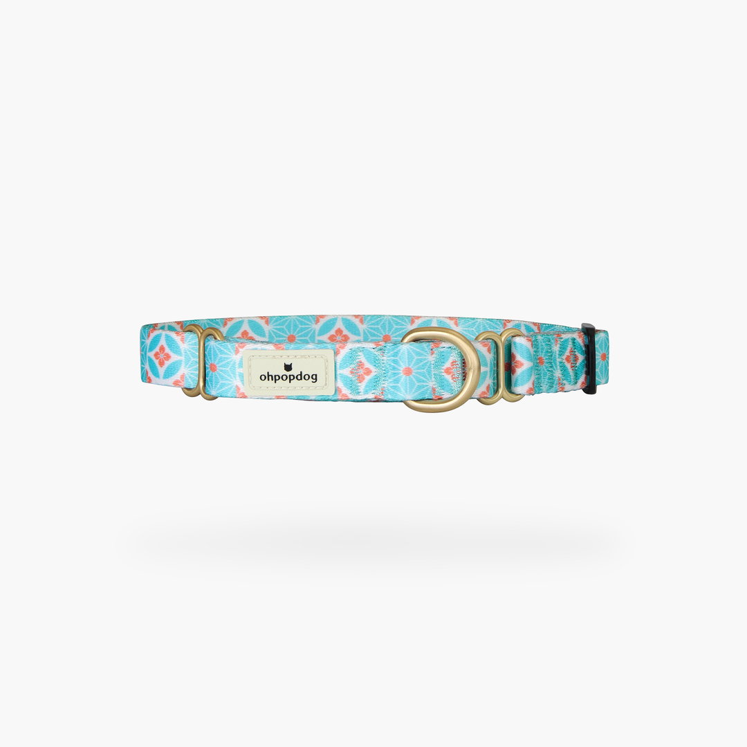 Ohpopdog Straits Mint Nylon Martingale Collar
