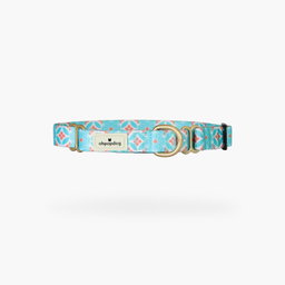 Ohpopdog Straits Mint Nylon Martingale Collar