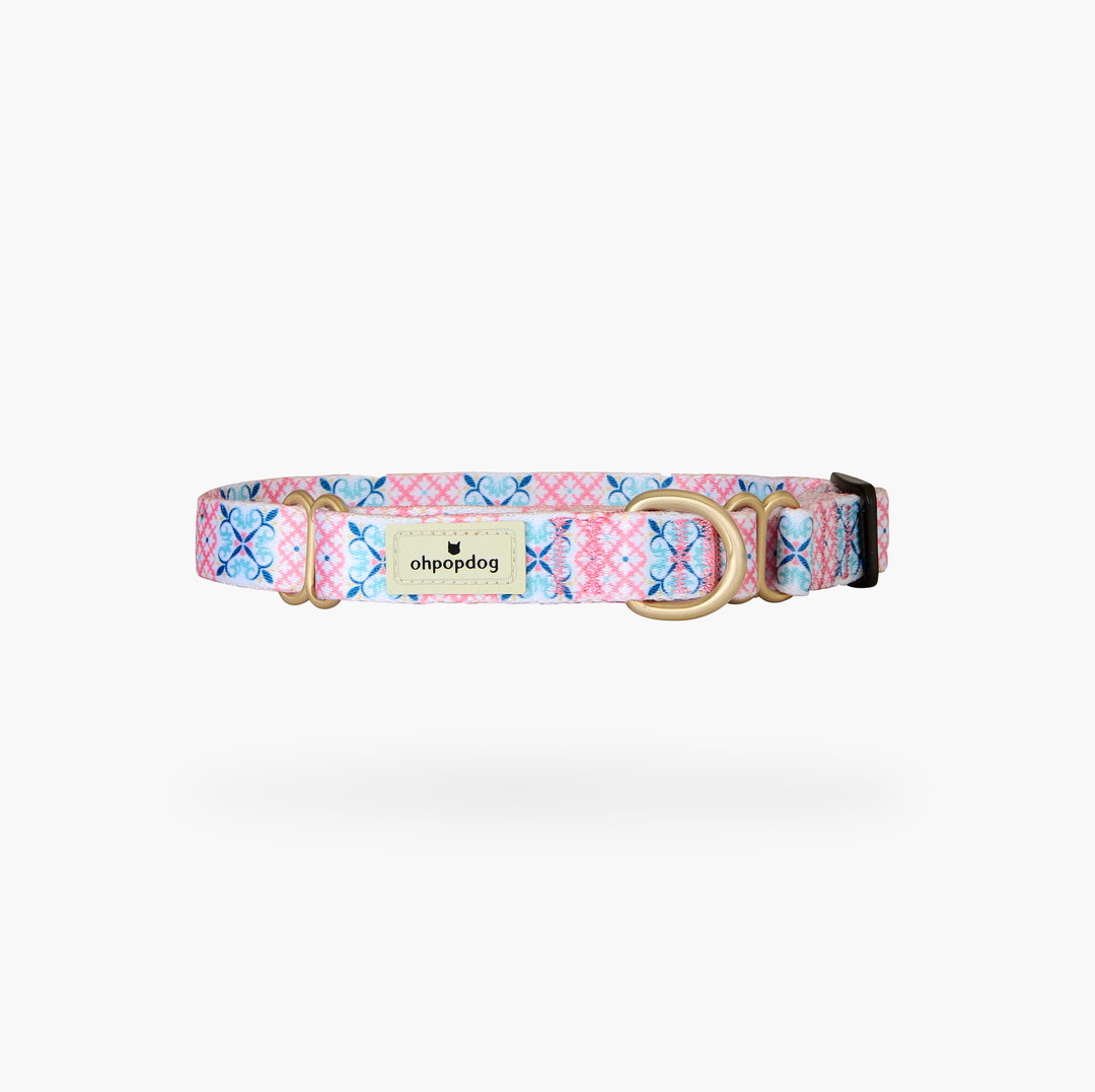 Ohpopdog Bibik Pink Nylon Martingale Collar