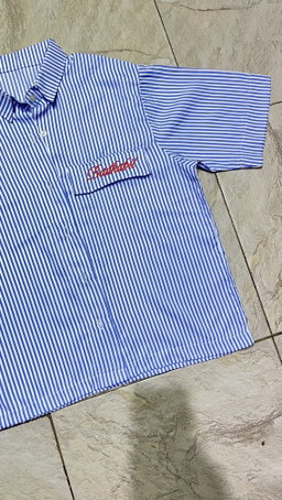 • SE • SHIRT’25