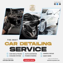 Detail auto cleaning 