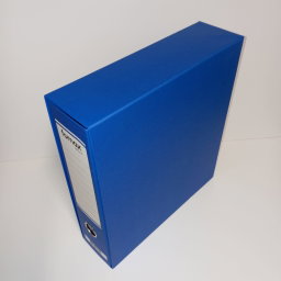 Pijani registrator