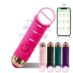 10 Speed Mini Bullet Vibrator for Women USB Charging