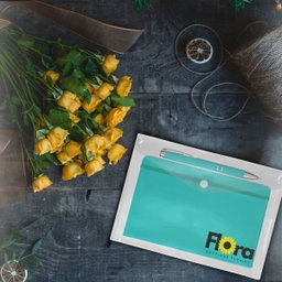 Line & Point Notebook & Pen Set